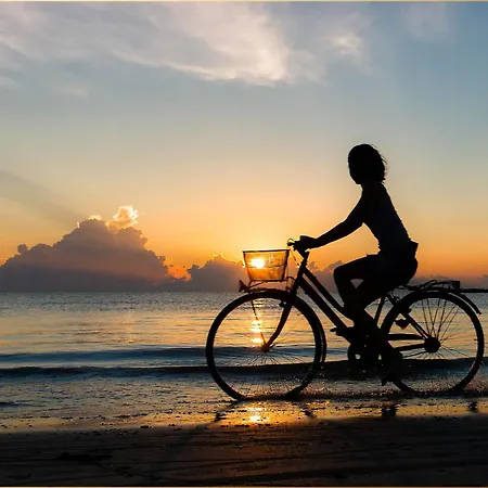 Seeland Seeland App 6 *